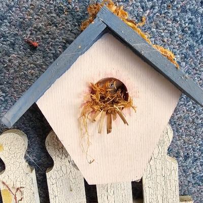 Small wooden bird houses