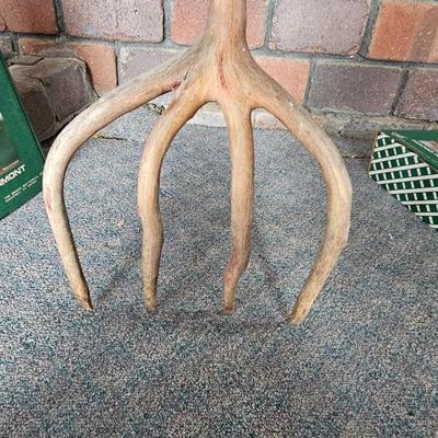 Hand carved one piece Wooden pitchfork UNIQUE! with two plant rooters