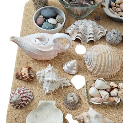 Shell Lot