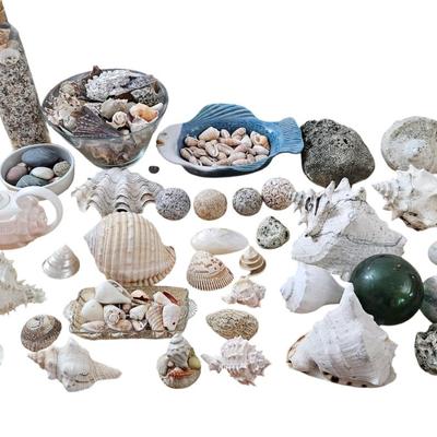 Shell Lot