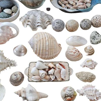 Shell Lot