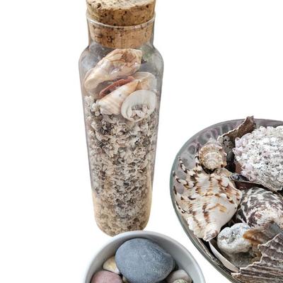 Shell Lot