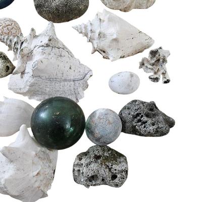 Shell Lot