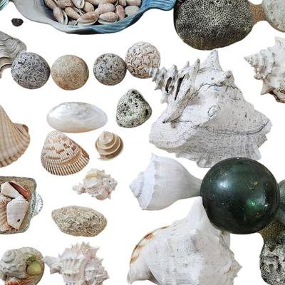 Shell Lot