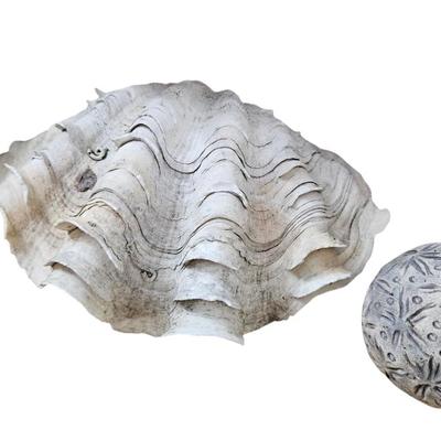 Shell Lot