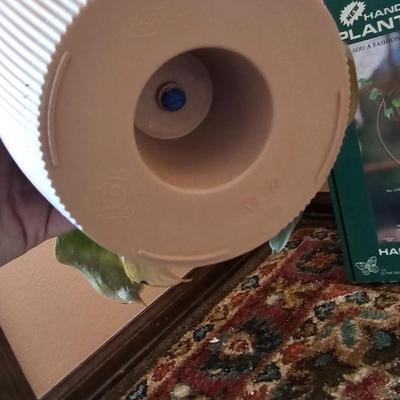 Planter pots and handcrafted plant rooters