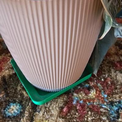 Planter pots and handcrafted plant rooters