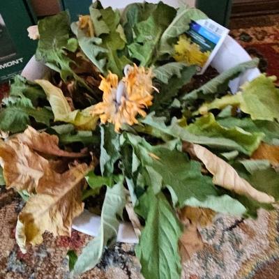 Planter pots and handcrafted plant rooters