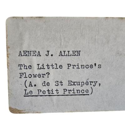 Aenea J. Allen Artwork " The Little Prince's Flower ?