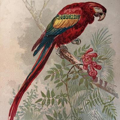 Antique Art Prints Lot