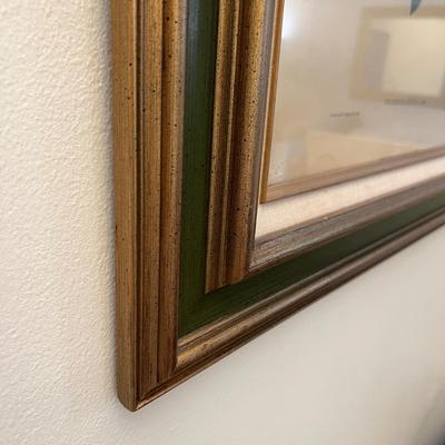 Vintage Framed Heliodoxa Jacula - John Gould Print