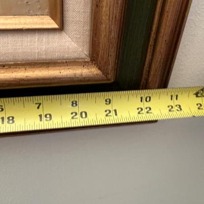 Vintage Framed Heliodoxa Jacula - John Gould Print