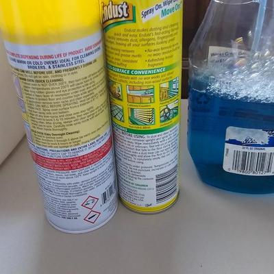 Cleaning supplies and trash can