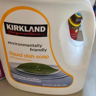 Cleaning supplies and trash can