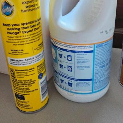 Cleaning supplies and trash can