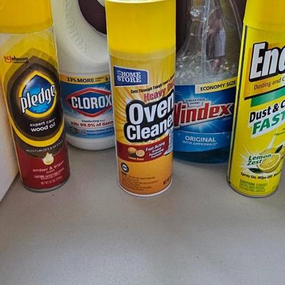 Cleaning supplies and trash can