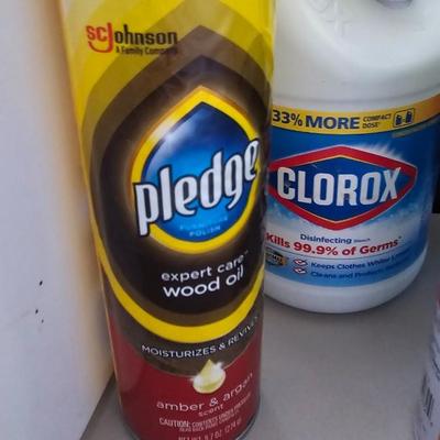 Cleaning supplies and trash can