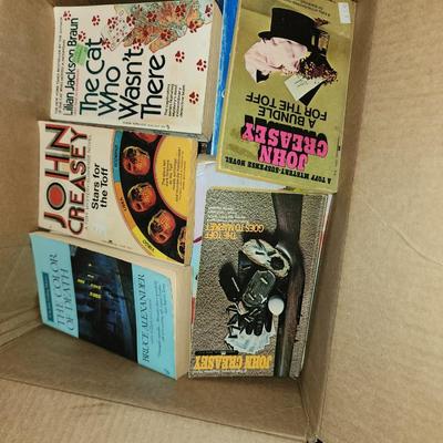 Lot of 25 paper back books.