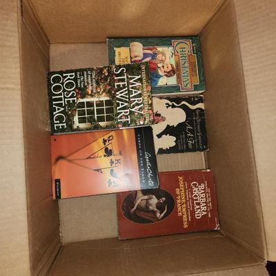 Lot of 25 paper back books.
