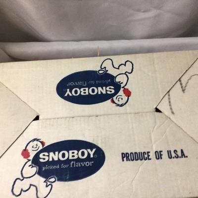 Snoboy Cardboard Box and Kid Wings Show Box