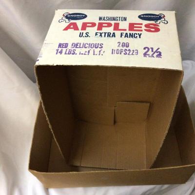 Snoboy Cardboard Box and Kid Wings Show Box