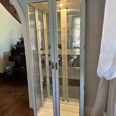 WHITE LIGHTED CURIO