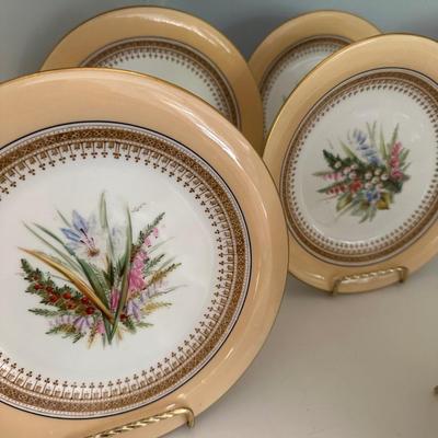ROYAL WORCHESTER PLATE SET