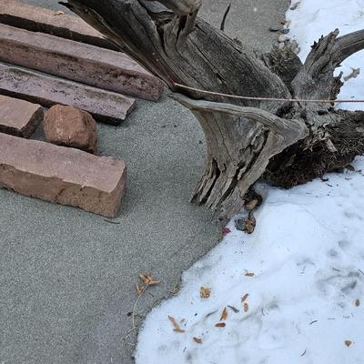 Sandstone edging rocks and a wood landscape stump