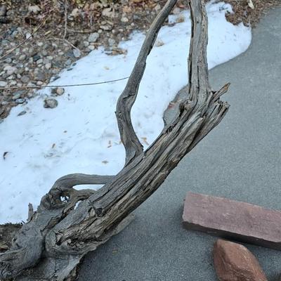 Sandstone edging rocks and a wood landscape stump