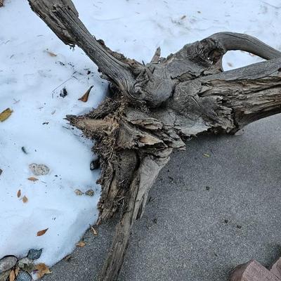 Sandstone edging rocks and a wood landscape stump