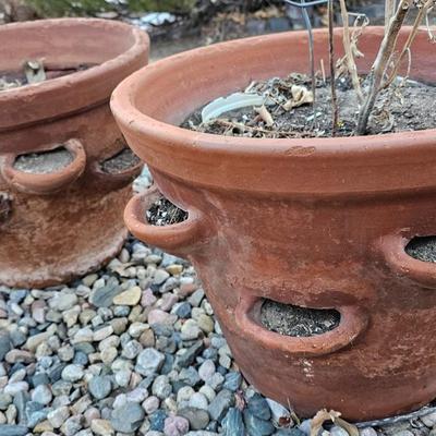 Two terracotta strawberry plant pots