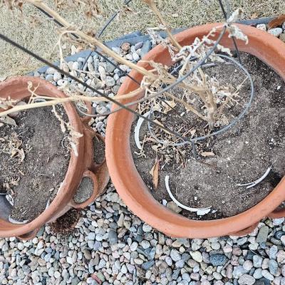 Two terracotta strawberry plant pots