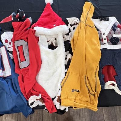 Dog Sweaters/Costumes
