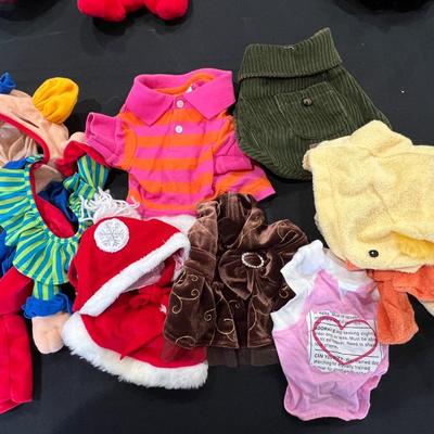 Small dog/cat clothes/costumes