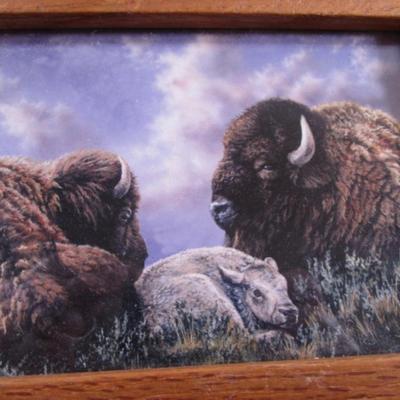 2 Framed buffalo pictures & 1 document frame