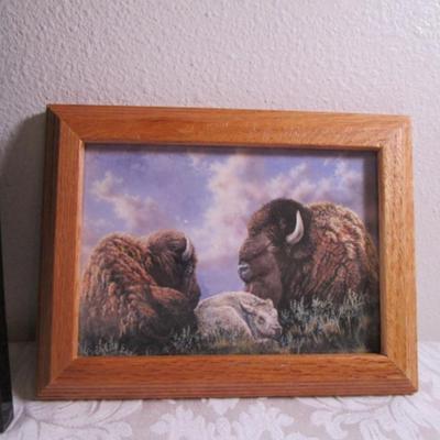 2 Framed buffalo pictures & 1 document frame