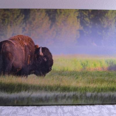 Buffalo Picture on canvas