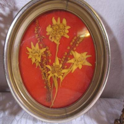 2 Vintage framed paintings of flowers, 1 framed dried flowers