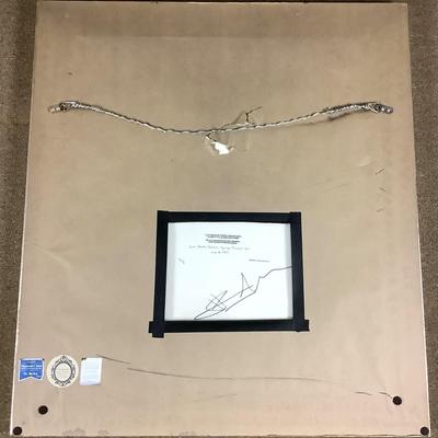 463 Signed PATRICK DEMARCHELIER 'Dior Haute Couture Spring-Summer 2011' Framed Verso Photo 5/8