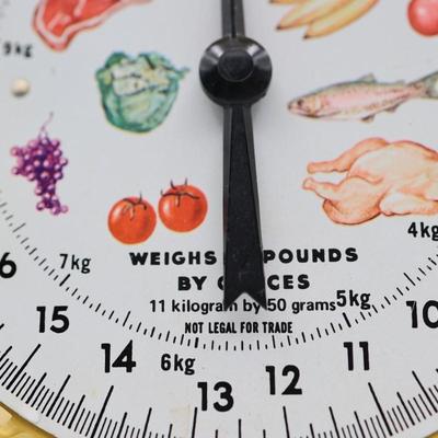 Vintage American Family Scale