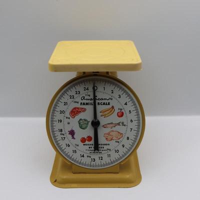Vintage American Family Scale