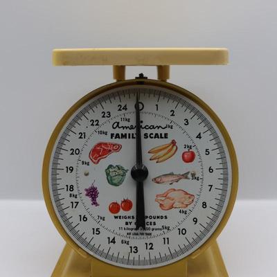 Vintage American Family Scale