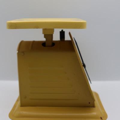 Vintage American Family Scale