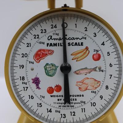 Vintage American Family Scale