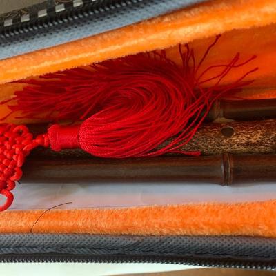 Musical Instrument In Case