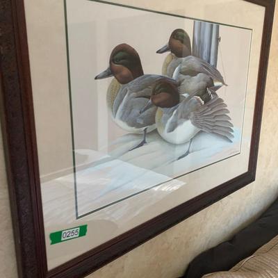 Signed Framed/Matted Ducks Print