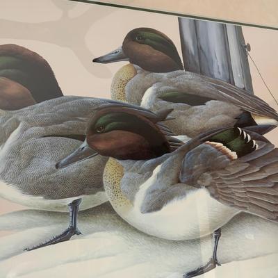 Signed Framed/Matted Ducks Print