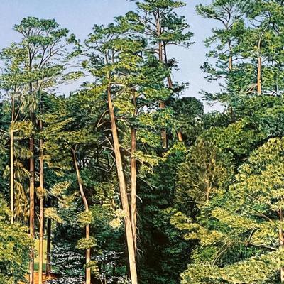 Framed Print of Augusta National Golf Club 15th Hole