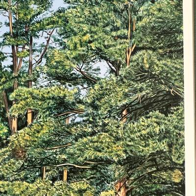 Framed Print of Augusta National Golf Club 15th Hole