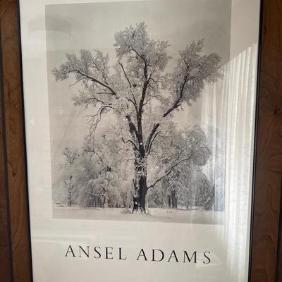 Ansel Adam’s oak tree wall decor
